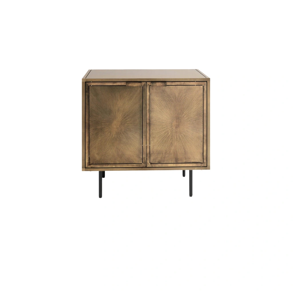 Arlen Metal Front Cabinet