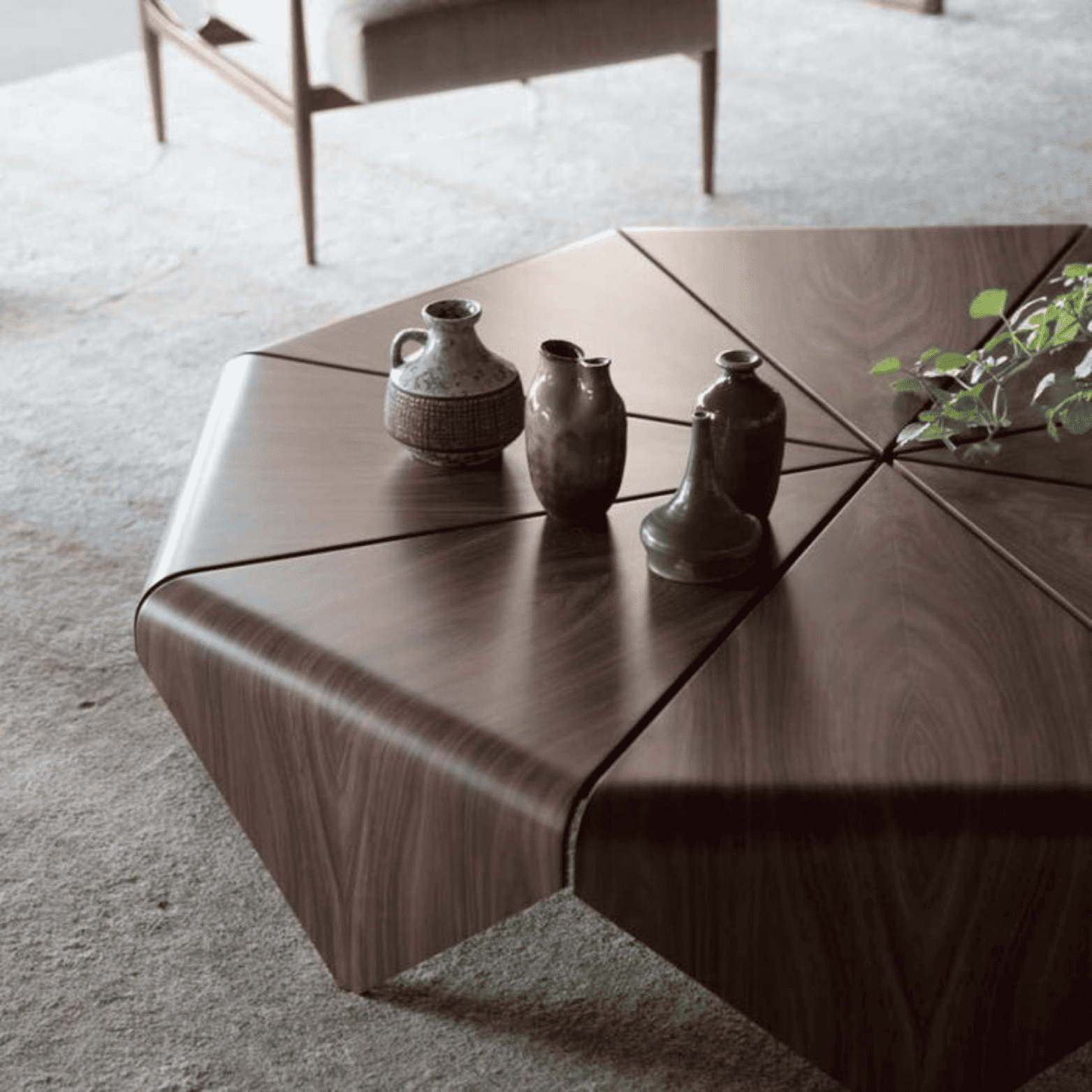 Mangrove Coffee Table