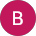 Bijay bag